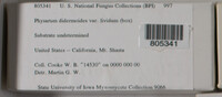 Image Associated With the Occurence
